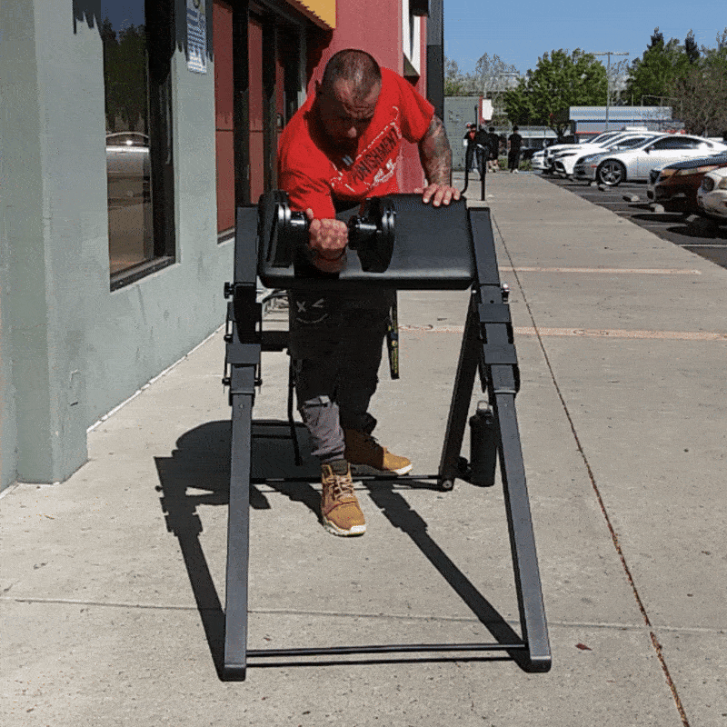 PCX-12 Foldable Preacher Curl Bench